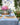Charlotte Indigo Tablecloth