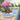 Charlotte Indigo Napkin, set of 4