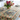Cypress Tablecloth