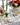 Napkins Poinsettia, set of 4