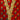 Bloomsbury Wine Sprig Robe